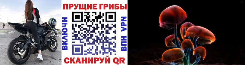 купить   Вологда  Псилоцибиновые грибы мухоморы 